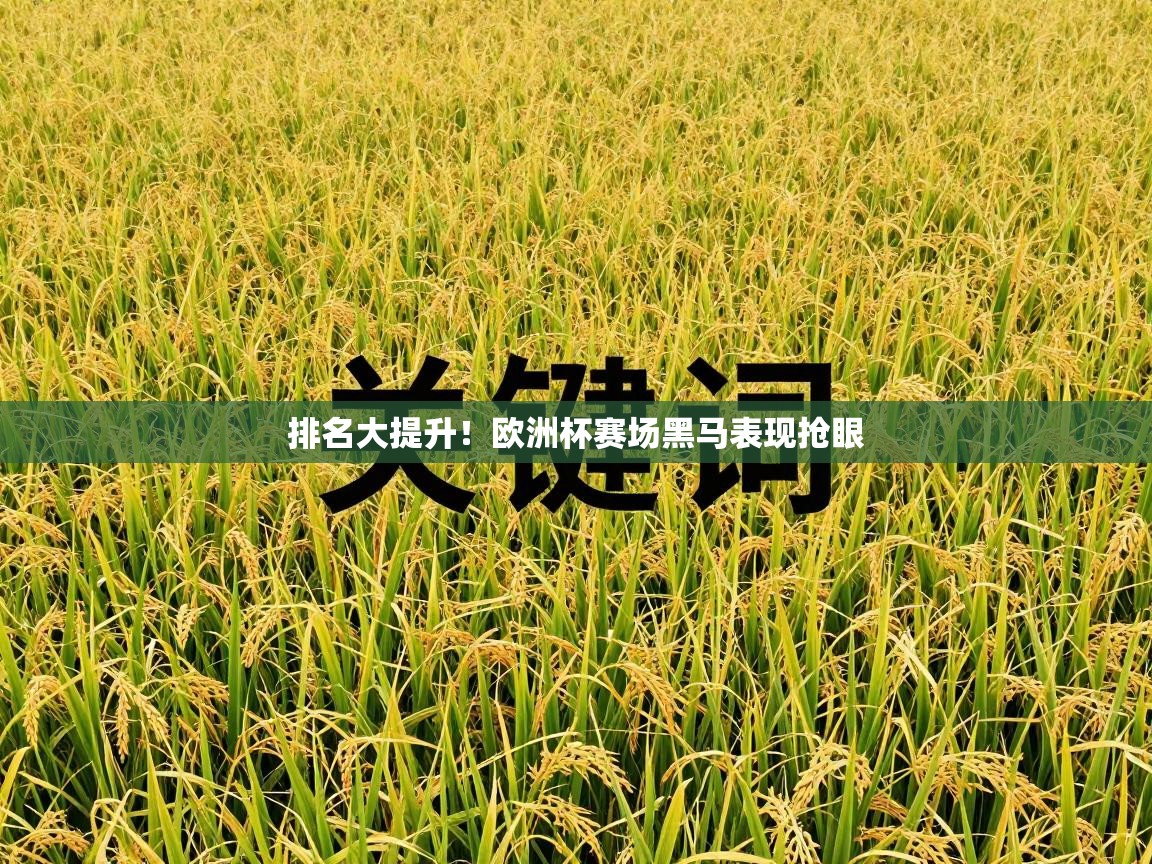 排名大提升!欧洲杯赛场黑马表现抢眼 第2张