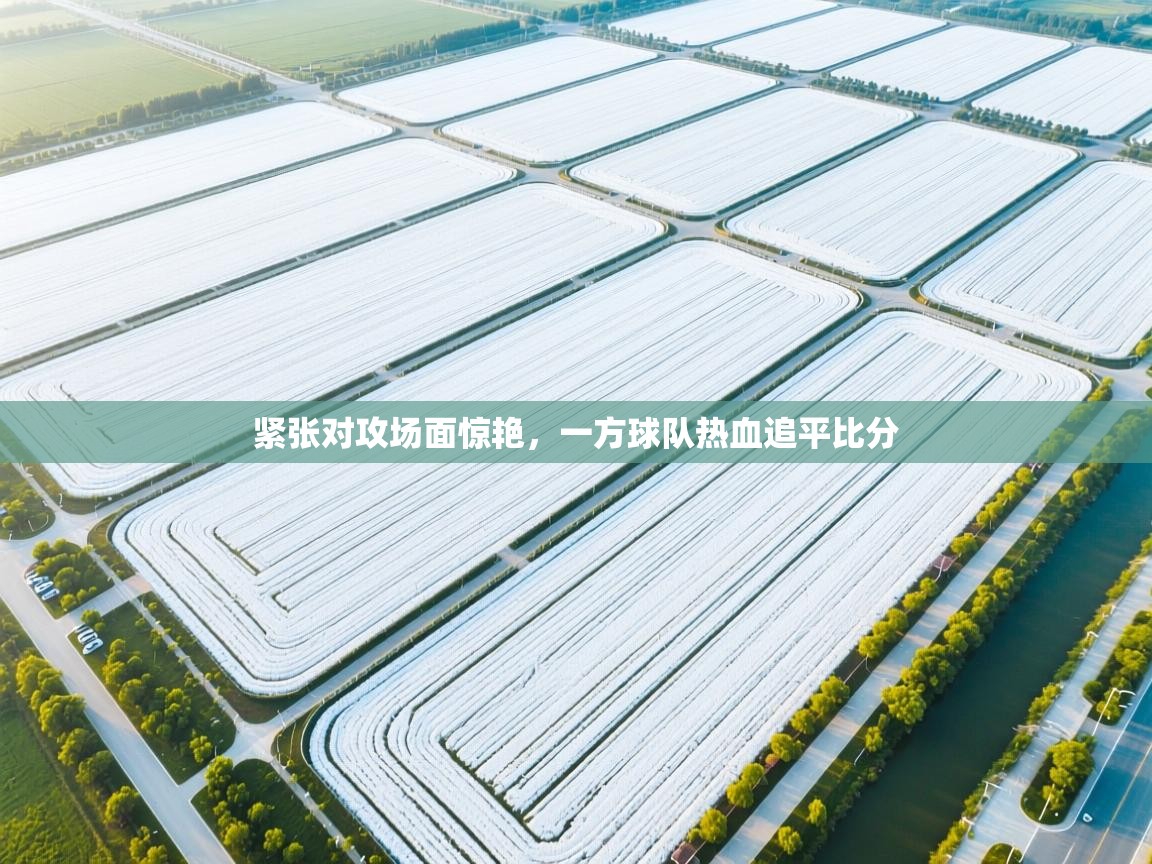 紧张对攻场面惊艳，一方球队热血追平比分