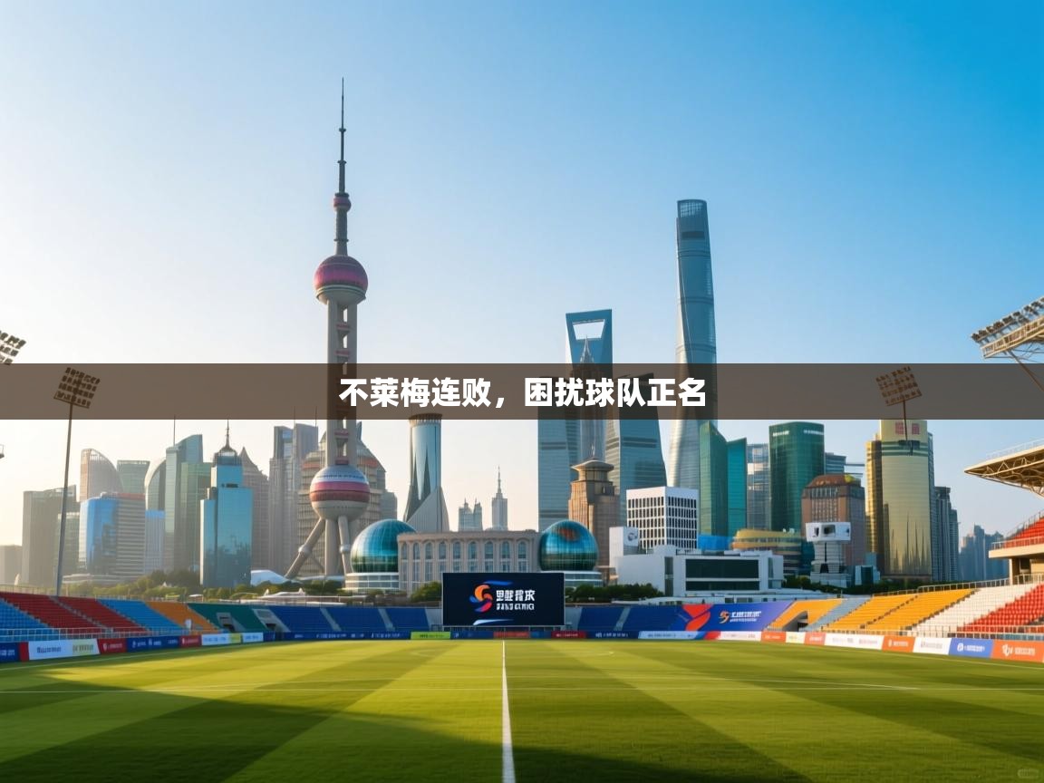 不莱梅连败，困扰球队正名  第1张